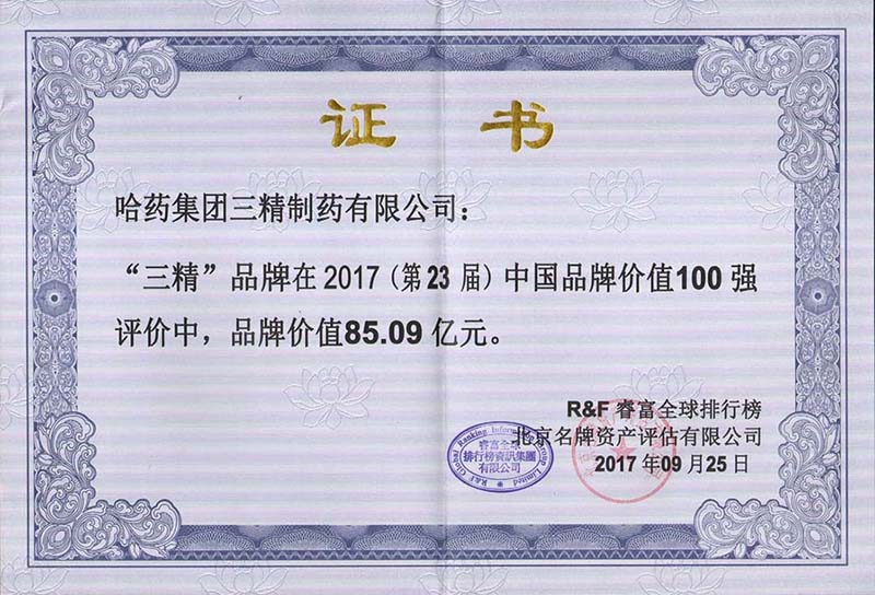 2017中国品牌价值100强证书 85.09亿_1080.jpg